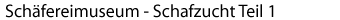 Schafzucht 1