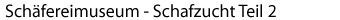 Schafzucht 2